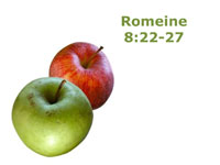 Romeine8_22-27